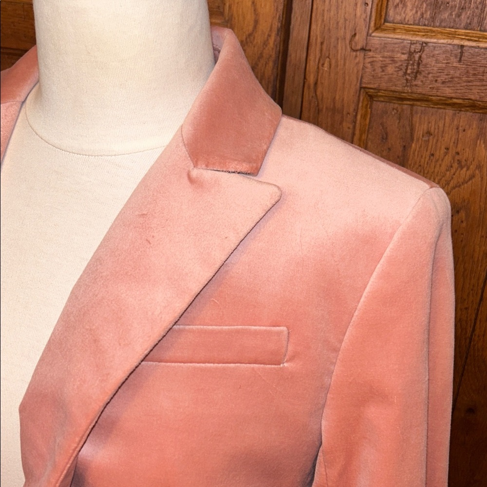 J. Crew⭐️NWT Peachy-Pink Velvet BLAZER Jacket One-Button Women’s Size 2P⭐️NEW! - Picture 5 of 16